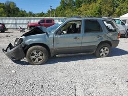 Ford Vehiculos salvage en venta: 2007 Ford Escape XLT