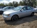 2006 Hyundai Sonata GLS