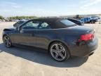 2014 Audi S5 Prestige