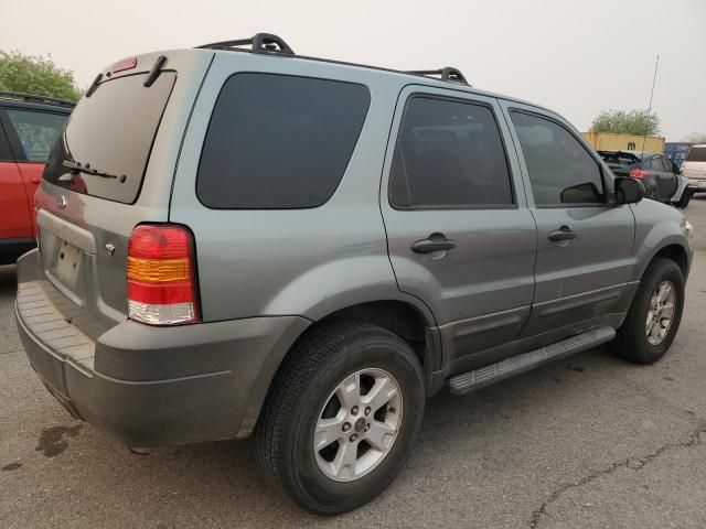 2005 Ford Escape XLT