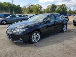 Salvage cars for sale at Marlboro, NY auction: 2013 Lexus ES 300H