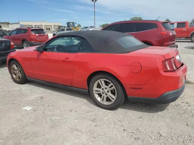 2010 Ford Mustang