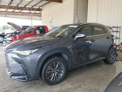 2023 Lexus NX 250 en venta en Homestead, FL