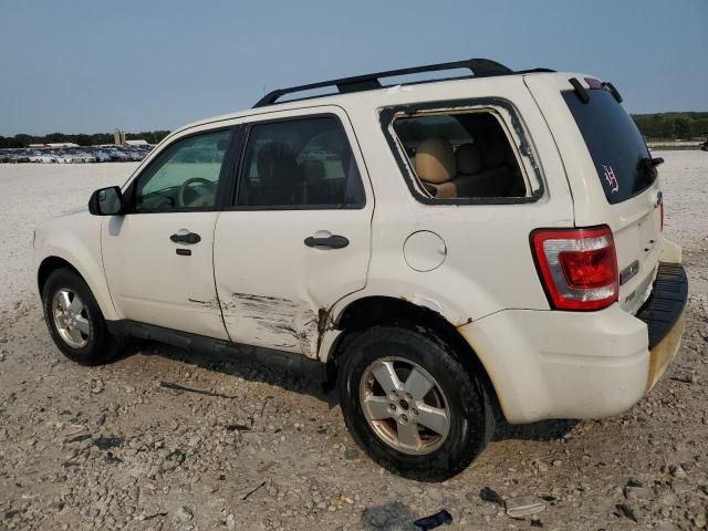 2011 Ford Escape XLT