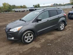 Salvage cars for sale at Columbia Station, OH auction: 2016 Ford Escape SE