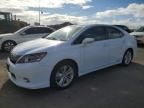 2010 Lexus HS 250H