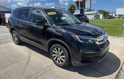 Salvage cars for sale at Arcadia, FL auction: 2020 Honda Pilot EXL