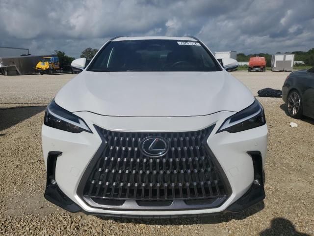 2023 Lexus NX 250