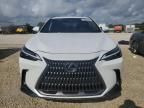 2023 Lexus NX 250