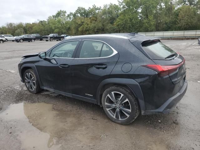 2019 Lexus UX 250H