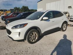 Ford salvage cars for sale: 2020 Ford Escape SE