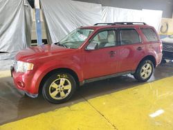 Copart select cars for sale at auction: 2011 Ford Escape XLT