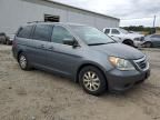 2010 Honda Odyssey EXL