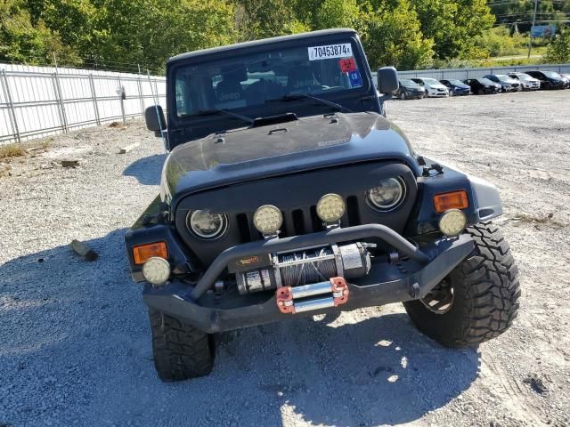 2004 Jeep Wrangler / TJ Sahara