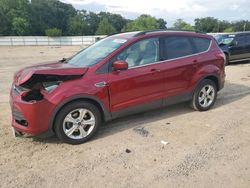 Salvage cars for sale at Theodore, AL auction: 2014 Ford Escape SE