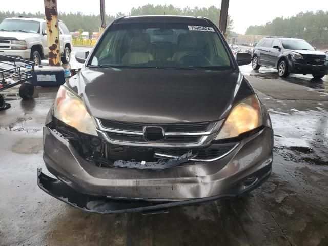 2010 Honda CR-V EXL