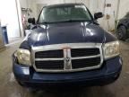 2006 Dodge Dakota SLT