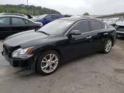 2014 Nissan Maxima S en venta en Louisville, KY