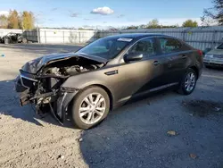 Salvage cars for sale at Arlington, WA auction: 2013 KIA Optima EX