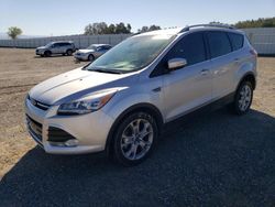 Ford Vehiculos salvage en venta: 2014 Ford Escape Titanium