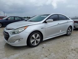 Salvage cars for sale at Arcadia, FL auction: 2011 Hyundai Sonata Hybrid