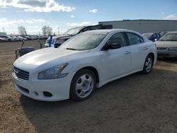 Nissan salvage cars for sale: 2009 Nissan Maxima S