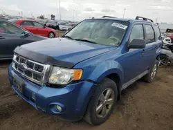 2009 Ford Escape XLT en venta en Brighton, CO