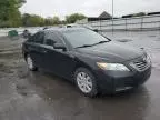 2009 Toyota Camry Hybrid