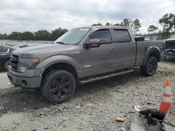 Salvage cars for sale at Byron, GA auction: 2014 Ford F150 Supercrew