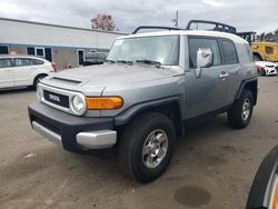 Toyota Vehiculos salvage en venta: 2010 Toyota FJ Cruiser