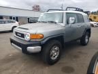 2010 Toyota FJ Cruiser