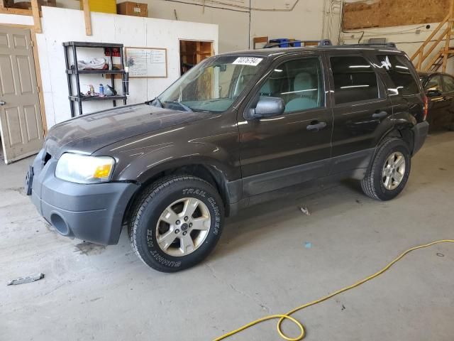 2007 Ford Escape XLT