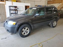 2007 Ford Escape XLT en venta en Ham Lake, MN