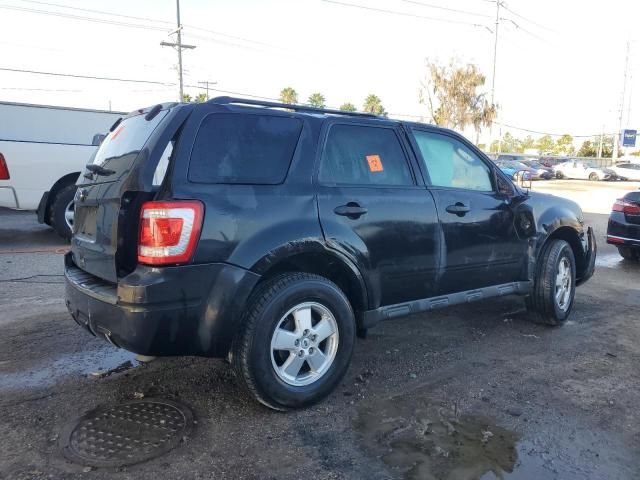 2011 Ford Escape XLT