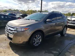 2013 Ford Edge Limited en venta en Louisville, KY