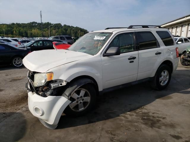 2011 Ford Escape XLT