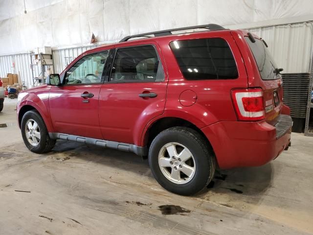 2009 Ford Escape XLT