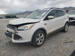 Salvage cars for sale at Magna, UT auction: 2016 Ford Escape SE