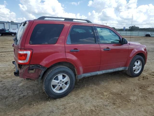 2011 Ford Escape XLT