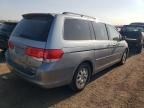 2008 Honda Odyssey EXL