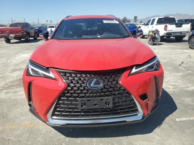 2019 Lexus UX 200