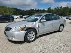 2011 Nissan Altima Base