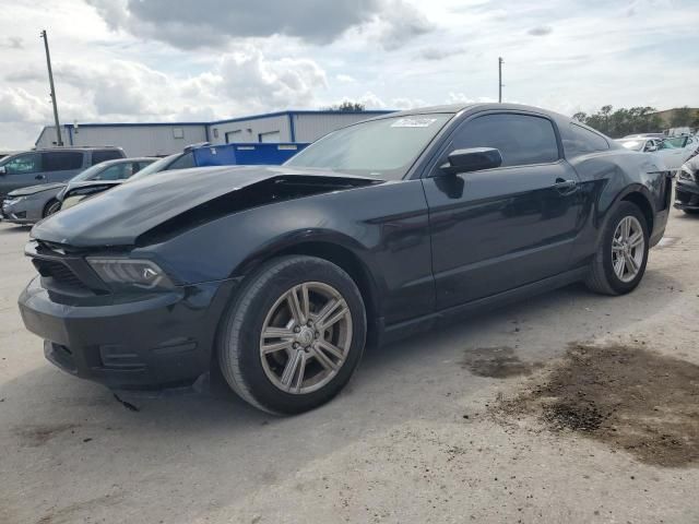 2010 Ford Mustang