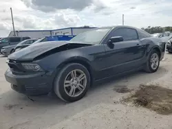 Salvage cars for sale at Orlando, FL auction: 2010 Ford Mustang