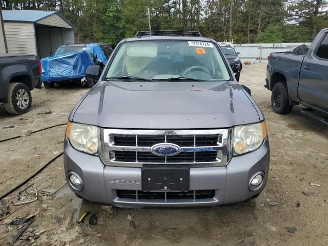 2008 Ford Escape XLT