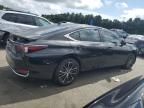 2024 Lexus ES 250 Base