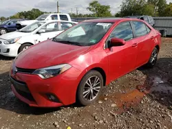 Salvage cars for sale at Hillsborough, NJ auction: 2016 Toyota Corolla L