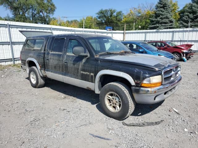 2000 Dodge Dakota Quattro