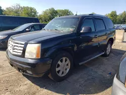 Cadillac salvage cars for sale: 2005 Cadillac Escalade Luxury