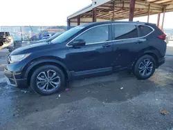 Honda cr-v ex Vehiculos salvage en venta: 2022 Honda CR-V EX